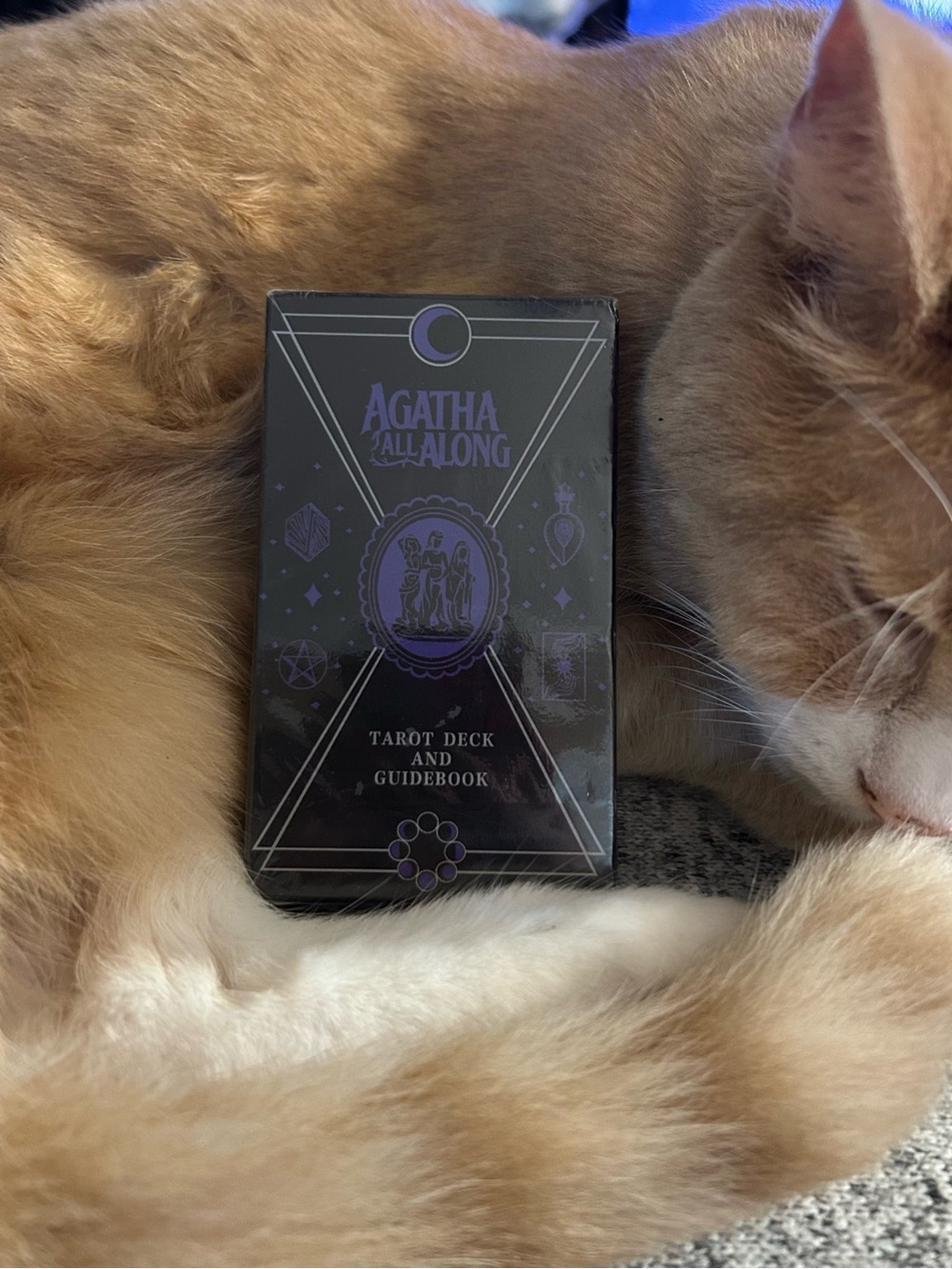 Agatha All Along Tarot Deck New Uncharged Wandavision Trilogy